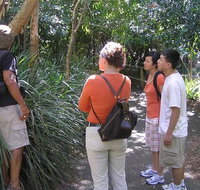 Boomerang Aboriginal Cultural Tours - Tourism Caloundra