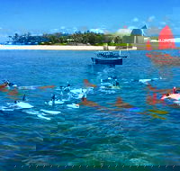 Low Island Snorkelling Private Charter Aboard Authentic Chinese Junk Boat - Tourism Caloundra