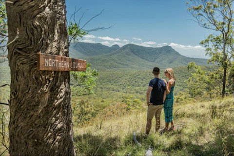 Queensland Food Tour: The Ultimate Delectable Full Day Experience - Tourism Caloundra 1