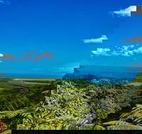 Cape Tribulation Day Tour - Tourism Caloundra