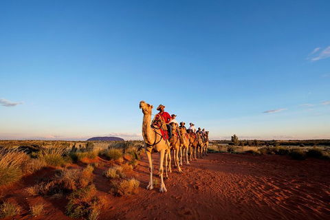 Uluru Small-Group Tour By Camel At Sunrise Or Sunset - Tourism Caloundra 0