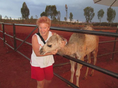 Uluru Small-Group Tour By Camel At Sunrise Or Sunset - Tourism Caloundra 18