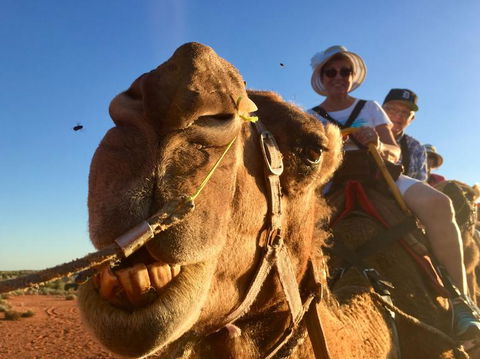 Uluru Small-Group Tour By Camel At Sunrise Or Sunset - Tourism Caloundra 7