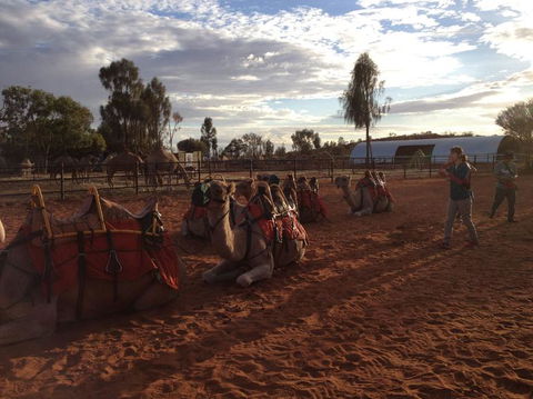 Uluru Small-Group Tour By Camel At Sunrise Or Sunset - Tourism Caloundra 23