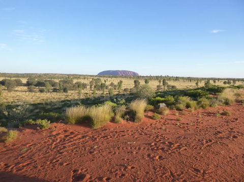 Uluru Small-Group Tour By Camel At Sunrise Or Sunset - Tourism Caloundra 9