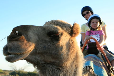 Uluru Small-Group Tour By Camel At Sunrise Or Sunset - Tourism Caloundra 3