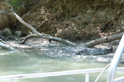 Kakadu Full-Day Tour From Darwin With Lunch - Tourism Caloundra 2