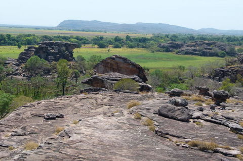 Kakadu Full-Day Tour From Darwin With Lunch - Tourism Caloundra 3