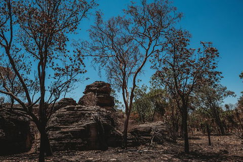 Kakadu Full-Day Tour From Darwin With Lunch - Tourism Caloundra 6