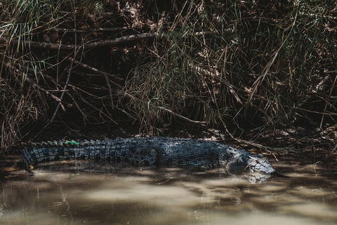 Kakadu Full-Day Tour From Darwin With Lunch - Tourism Caloundra 13