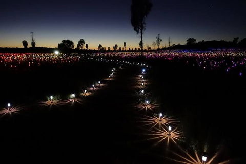 Uluru Field Of Light Sunrise Tour - Tourism Caloundra 2
