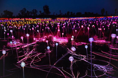 Uluru Field Of Light Sunrise Tour - Tourism Caloundra 1