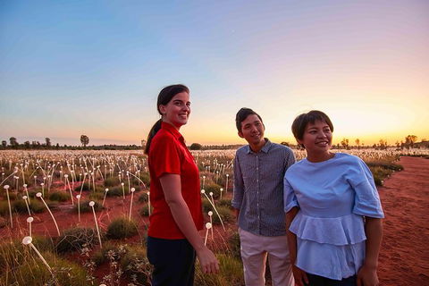 Uluru Field Of Light Sunrise Tour - Tourism Caloundra 11