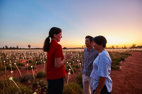 Uluru Field Of Light Sunrise Tour - Tourism Caloundra 9