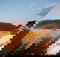 Uluru Ayers Rock Sunset with Outback Barbecue Dinner and Star Tour - Tourism Caloundra