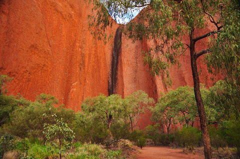Uluru Sunrise And Guided Base Walk - Tourism Caloundra 14