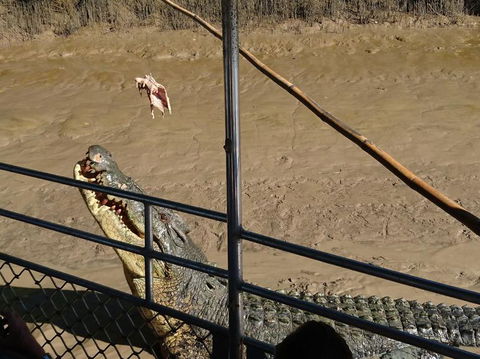 Litchfield And Jumping Crocodiles Full Day Trip From Darwin - Tourism Caloundra 5