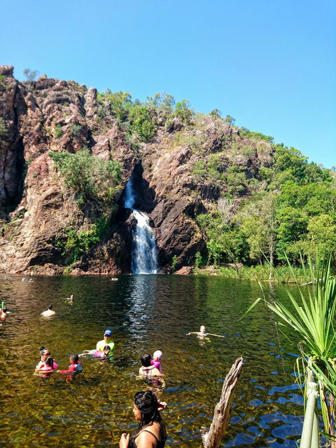 Litchfield And Jumping Crocodiles Full Day Trip From Darwin - Tourism Caloundra 3