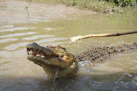 Litchfield And Jumping Crocodiles Full Day Trip From Darwin - Tourism Caloundra 17