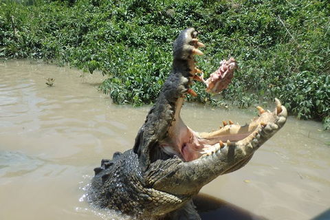 Litchfield And Jumping Crocodiles Full Day Trip From Darwin - Tourism Caloundra 18