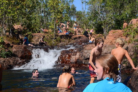 Litchfield And Jumping Crocodiles Full Day Trip From Darwin - Tourism Caloundra 10