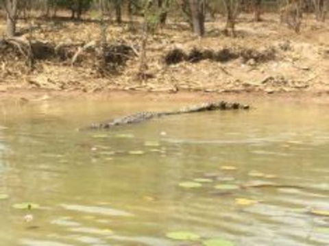 1 Day Corroboree Billabong Wetland Experience Including 2.5 Hour Cruise + Lunch - Tourism Caloundra 5