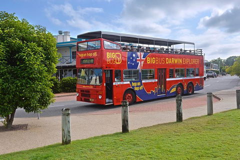 Darwin Shore Excursion: Hop-on Hop-off Bus Tour - Tourism Caloundra 0