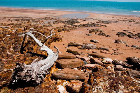 Darwin Hop-on Hop-off Bus Tour - Tourism Caloundra 5