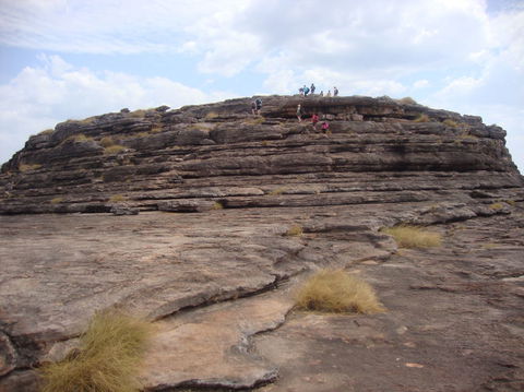3 Day 4WD Dragonfly Dreaming Top End Safari - Tourism Caloundra 4