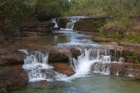 3 Day 4WD Dragonfly Dreaming Top End Safari - Tourism Caloundra 0