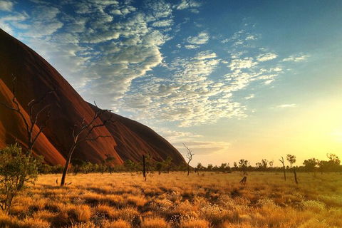Highlights Of Uluru Including Sunrise And Breakfast - Tourism Caloundra 5