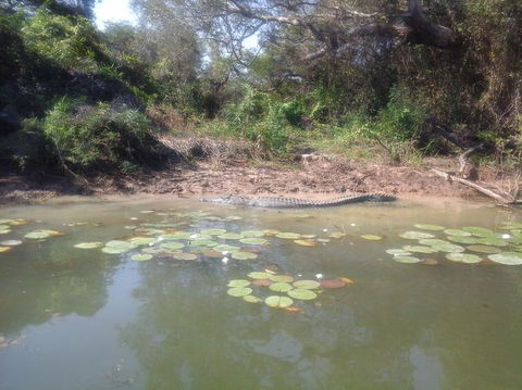 3-Day Kakadu National Park And Arnhem Land Explorer Tour From Darwin - Tourism Caloundra 23