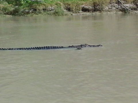 3-Day Kakadu National Park And Arnhem Land Explorer Tour From Darwin - Tourism Caloundra 7