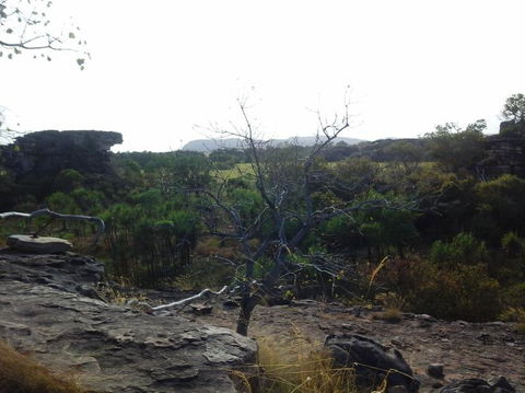3-Day Kakadu National Park And Arnhem Land Explorer Tour From Darwin - Tourism Caloundra 14