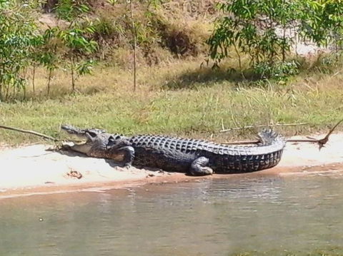 3-Day Kakadu National Park And Arnhem Land Explorer Tour From Darwin - Tourism Caloundra 6