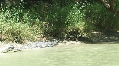 3-Day Kakadu National Park And Waterfalls Tour From Darwin - Tourism Caloundra 2
