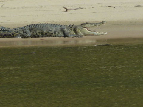 3-Day Kakadu National Park And Waterfalls Tour From Darwin - Tourism Caloundra 4