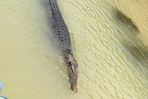 Kakadu National Park Scenic Flight & Cruise - Tourism Caloundra 11