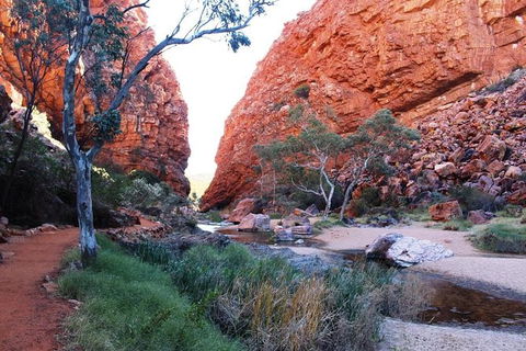 Half Day MacDonnell Ranges Small Group - Private Guided Tour - Tourism Caloundra 0