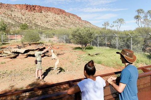 Alice Springs Desert Park General Entry Ticket - Tourism Caloundra 9