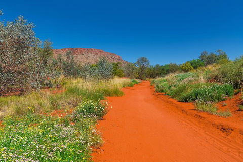 Alice Springs Desert Park General Entry Ticket - Tourism Caloundra 7