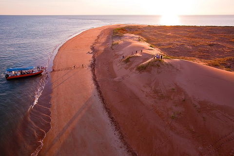 Turtle Tracks Tour To Bare Sand Island From Darwin - Tourism Caloundra 6
