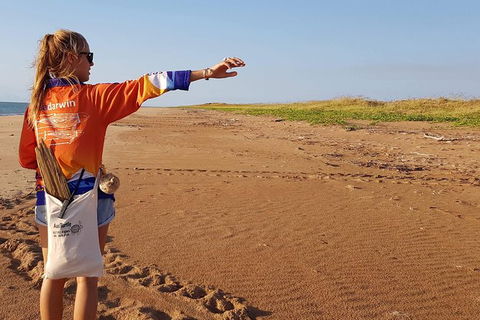 Turtle Tracks Tour To Bare Sand Island From Darwin - Tourism Caloundra 7