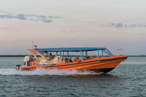 Turtle Tracks Tour To Bare Sand Island From Darwin - Tourism Caloundra 5