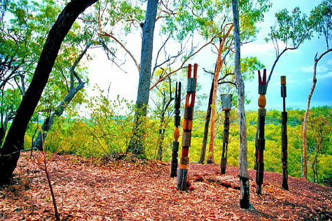 Tiwi Islands Cultural Experience From Darwin Including Ferry - Tourism Caloundra 1