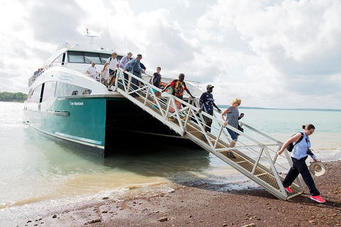 Tiwi Islands Cultural Experience From Darwin Including Ferry - Tourism Caloundra 9