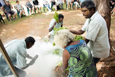 Tiwi Islands Cultural Experience From Darwin Including Ferry - Tourism Caloundra 10