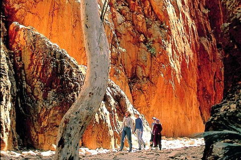 West MacDonnell Ranges Day Trip From Alice Springs - Tourism Caloundra 7
