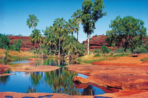 Palm Valley 4WD Tour From Alice Springs - Tourism Caloundra 1