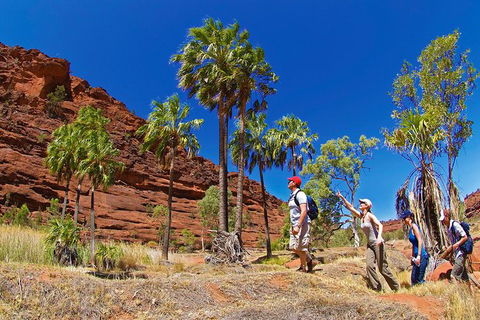 Palm Valley 4WD Tour From Alice Springs - Tourism Caloundra 0